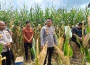 Kapolres Aceh Timur Tinjau Persiapan Panen Raya Jagung di Ranto Peureulak