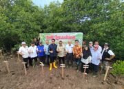 Wakil Walikota Langsa Muhammad Haikal Alfisyahrin dan Forest For Life Indonesia Melakukan Penanaman Manggrove 