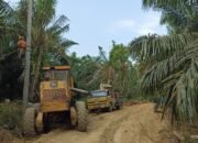 Respons Cepat PLN Simpang Ulim Atasi Gangguan Listrik di Desa Terpencil