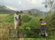 Babinsa Koramil 09/Ketol Laksanakan Komsos dan Pendampingan Petani di Desa Kutegelime