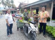 Kepala Desa Bunga Melur Bagikan Bibit Coklat Kepada Warga