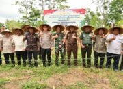 Dandim 0102/Pidie Hadiri Panen Raya Jagung Serentak: Komitmen Nyata TNI Dukung Swasembada Pangan Nasional