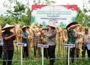 Dipimpin Presiden RI, Kapolres Pidie Ikuti Panen Raya Nasional Jagung Serentak Kuartal II Tahun 2025