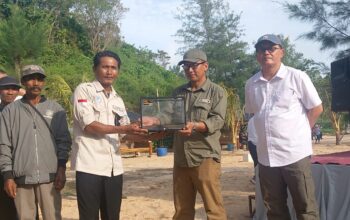 KTH Harapan Pertiwi Gelar Pelepasliaran Tukik di Kawasan Wisata Tanjung Penyu