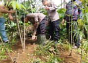Motivasi Warga Binaan Perkuat Ketahanan Pangan, Polsek Linge Terjun Langsung Bersama Masyarakat