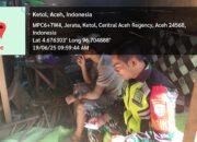 Babinsa Koramil 09/Ketol Ajak Warga Desa Jerata Tanam Cabai di Musim Kemarau