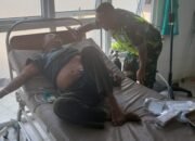 Diserang Gajah Liar Saat ke Kebun, Warga Bener Meriah Alami Luka Serius