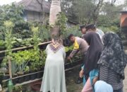 Polsek Bebesen Panen Tanaman Pekarangan Pangan Bergizi, Dorong Warga Tingkatkan Kesejahteraan Melalui Pangan Sehat