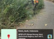 Wujudkan Kepedulian, Babinsa Koramil 09/Ketol Gelar Gotong Royong Bersama Warga Blang Mancung
