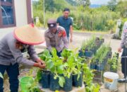 Kapolsek Celala dan Anggota Panen Sayur Mayur di Lahan Perkarangan Bergizi Polsek