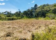 Polsek Celala Matangkan Lahan Jagung Serentak, Dukung Ketahanan Pangan Kuartal III