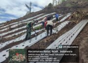 Babinsa Koramil Ketol Bantu Warga Pasang Mulsa untuk Tanaman Cabai Merah