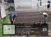 Babinsa Koramil 09/Ketol Bantu Warga Buat Bedengan Tanaman Cabai di Desa Jaluk