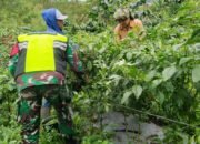 Babinsa Koramil 05/Linge Motivasi Petani Cabai di Musim Kemarau