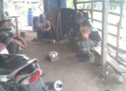 Babinsa Koramil 09/Ketol Beri Edukasi Petani Cabai Hadapi Cuaca Tak Menentu
