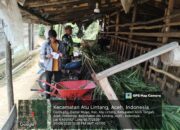 Babinsa Koramil 07/Atu Lintang Dukung Ketahanan Pangan Lewat Pendampingan Peternak Kambing