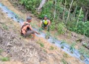 Babinsa Koramil 05/Linge Motivasi Petani Hortikultura Tingkatkan Hasil Panen