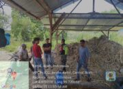 Babinsa Koramil 09/Ketol Pantau Pertumbuhan Tanaman Cabai di Desa Cangduri