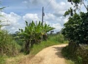 Warga Dusun Krajan Pringgodani Geram, 12 Tahun Menanti Listrik Tak Kunjung Tersalurkan