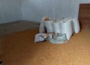 Stok Gabah Lumbung Gegarang Menyusut, Warga Pertanyakan Transparansi Pengelolaan