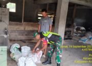 Babinsa Koramil 05/Linge Cek Kualitas Beras Lokal di Penggilingan Padi