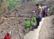 Bhabinkamtibmas Polsek Linge Aiptu Sudirman, Bersama Warga,Tanam Jagung Seluas 4 Ha,di Kampung Ise-Ise Kecamatan Linge.