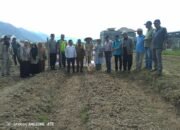 Kampung Simpang 4 Launching Penanaman Jagung Ketahanan Pangan 2025