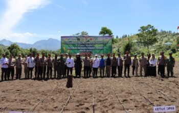 Dukung Swasembada Pangan 2025, Kapolres Aceh Tengah Tanam Jagung Serentak dan Salurkan 230 Sak Beras SPHP untuk Warga