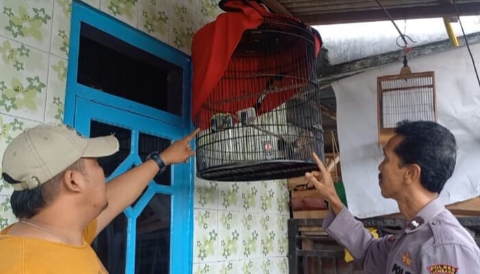 Polsek Mojoagung Berhasil Amankan Pelaku Pencuri Burung