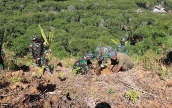 Satgas TMMD ke-126 Kodim 0106/Aceh Tengah Tanam Ribuan Pohon di Desa Nosar