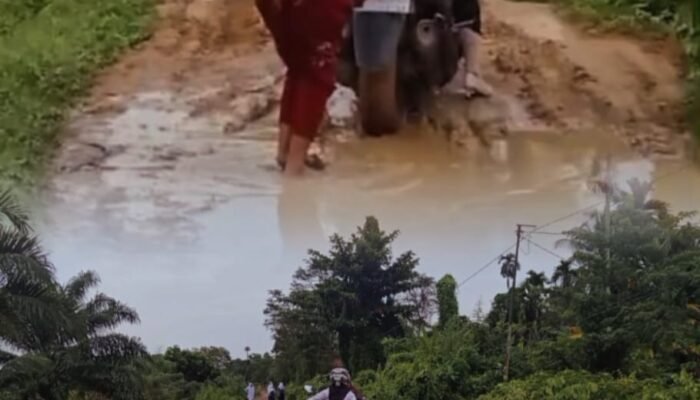 Jalan Rusak Lumpuhkan Aktivitas ke SMPN 16 Lhokseumawe: Murid dan Petani Terjebak dalam Lumpur Bertahun-tahun