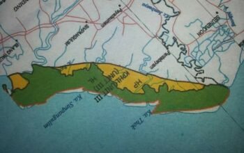 PGX Aceh Kecam Perambahan Hutan Lindung di Simpang Ulim: APH Jangan Diam!