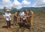Jagong Jeget Bangkit, Camat Turun ke Ladang Tanam Bibit Kentang dan Desak Pemerintah Pusat Bantu Pupuk