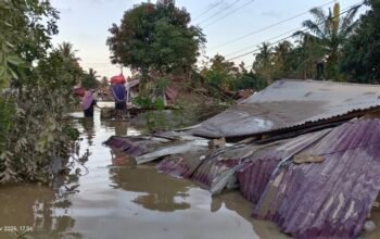 Rakyat Terendam, Pemerintah Hilang: Enam Hari Aceh Timur Seperti Tak Bertuan