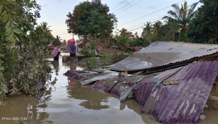 Rakyat Terendam, Pemerintah Hilang: Enam Hari Aceh Timur Seperti Tak Bertuan