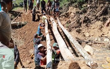 Koramil 10/Celala Bersama Warga Gotong Royong Bangun Jembatan Darurat di Desa Paya Kolak