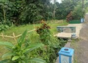 Anggaran Polindes-Posyandu Desa Krajan Tahun 2025 Diduga Tak Terealisasi, Warga Masih Gunakan Rumah Pribadi