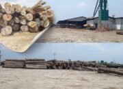 Di Tengah Duka Banjir Bandang, Tumpukan Gelondongan Kayu PT Tanjung Timberindo Industry Disorot, Dugaan Illegal Logging Menguat