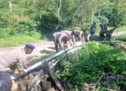 Polres Aceh Tengah dan Brimob Polda Aceh Pulihkan Fasilitas Umum, Pipa Air, dan Aliran Sungai di Dua Kecamatan