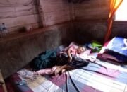 Jeritan Hati Pantan Nangka : Lansia Sakit dan ODGJ Terabaikan, Huntara Tidak Kunjung Hadir.