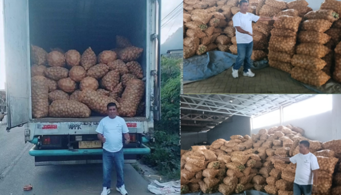 Rumah Tani Nusantara Kirim 60 Ton Kentang ke Jakarta, Harga Petani Gayo Terdongkrak Pasca Banjir