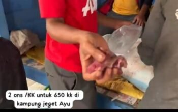 Warga Jagong Jeget Kecewa, Bantuan Daging Dari Presiden Hanya 2 Ons per KK