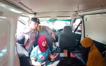 Petani di Bener Meriah Tewas Diamuk 3 Gajah Liar Saat Usir dari Kebun