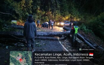 Pohon Tumbang Jalan Lintas Takengon-Blang Kejeren Koramil 05/Linge dan Polsek Linge Gerak Cepat