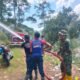 Karhutla di Desa Bujang Aceh Tengah Berhasil Dipadamkan, Medan Terjal Sempat Hambat Petugas
