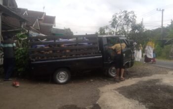 Mobil Pick-Up Mitsubishi L300 Tanpa Sopir Mundur dan Masuk Teras Rumah di Malang