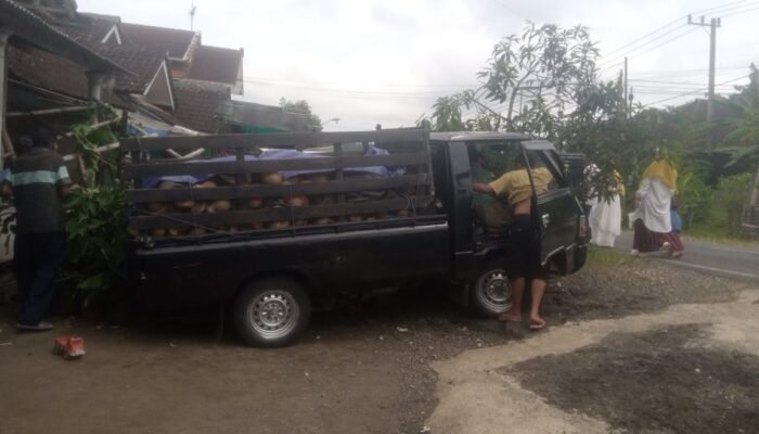 Mobil Pick-Up Mitsubishi L300 Tanpa Sopir Mundur dan Masuk Teras Rumah di Malang