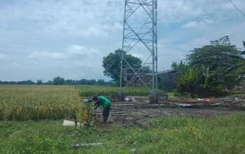 Tower Baru Muncul di Sumobito Saat Pemkab Jombang Gencar Menyegel BTS, PUPR: Belum Ada Pengajuan PBG