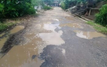Jalan Utama Ringin Kembar Rusak Parah, Warga Terpaksa Bertaruh Nyawa Setiap Hari