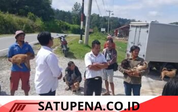 Pemerintah Kabupaten Humbang Hasundutan Tingkatkan Kesiapsiagaan Penanganan Rabies.
